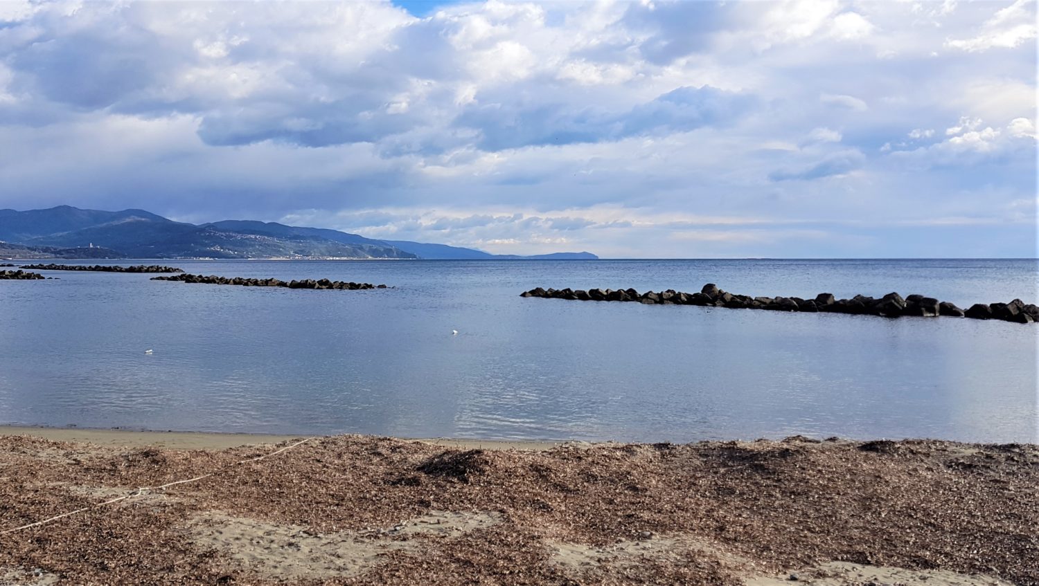 Pioppi spiaggia il cilentano cilentoPioppi spiaggia il cilentano cilento