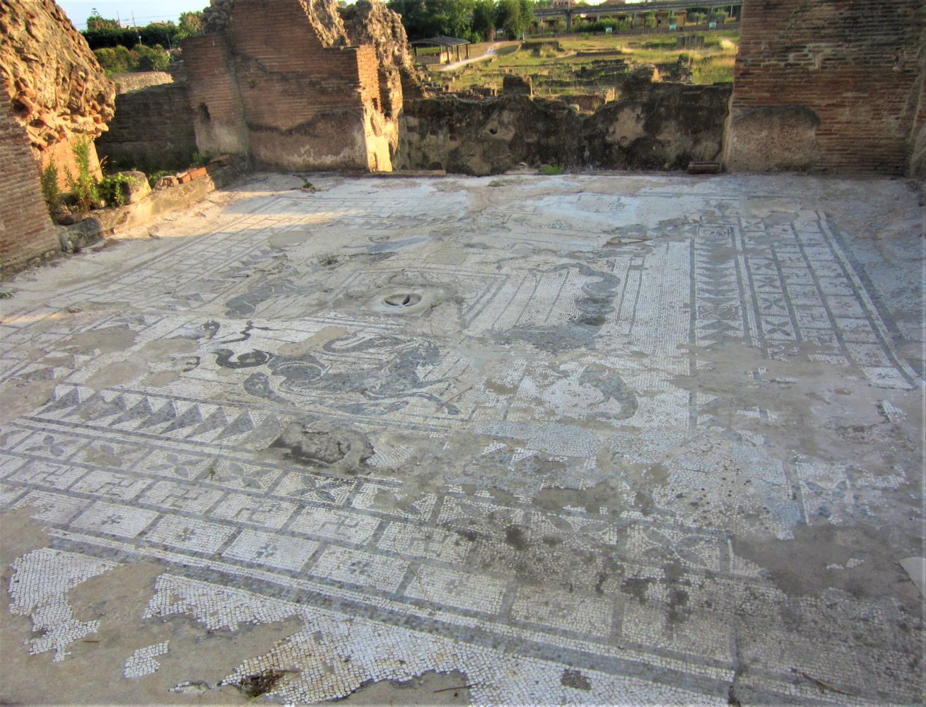 il mosaico parco archeologico di elea velia ascea scavi di velia il cilentano cilento