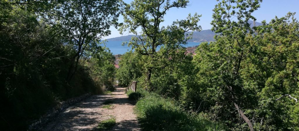 percorso trekking ad Ascea, particolare del sentiero dell'aurella il cilentano cilento