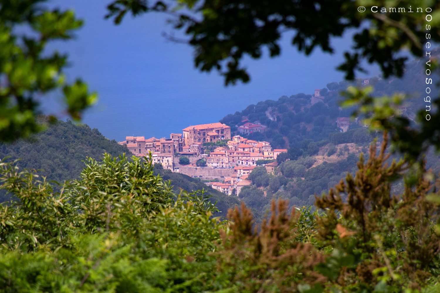 sentiero del castelluccio di pisciotta, vista sul paese medievale, il cilentano cilento