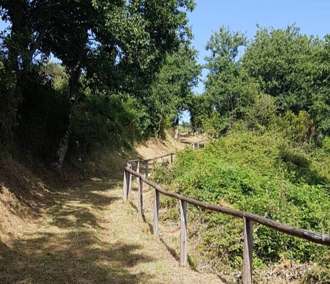 sentiero-trekking-catona-verso-il-monte-del-carmelo-il-cilentano-cilento