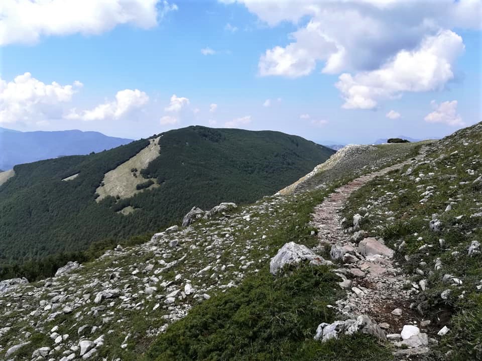 sentiero-trekking-san-mauro-la-bruca-rodio-pisciotta-il-cilentano-cilento