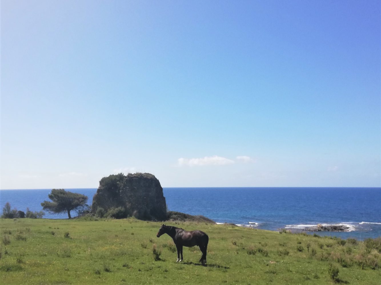 La spiaggia di torre caleo ad Acciaroli cilento il cilentano.jpg