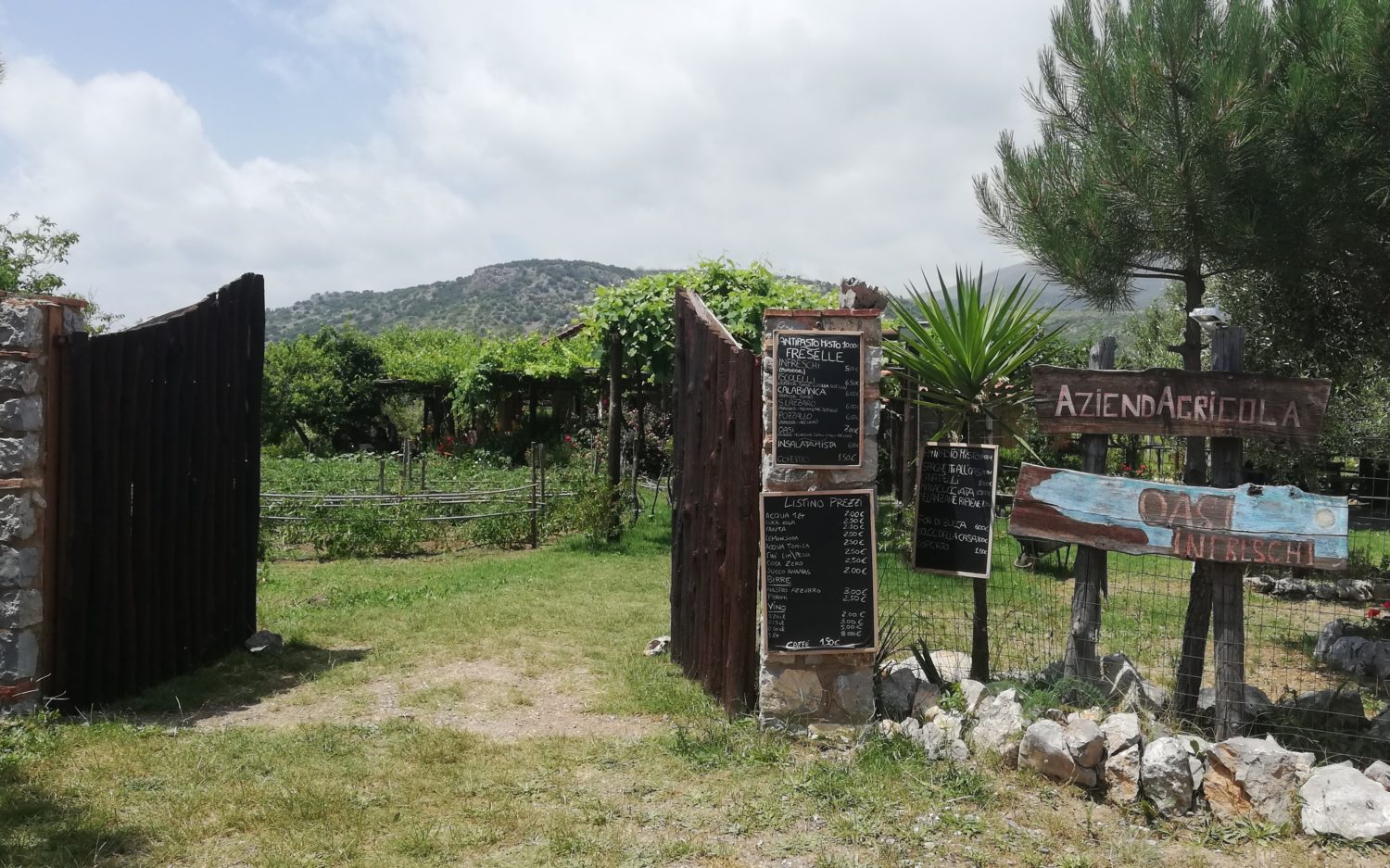 azienda agricola oasi infreschi il cilentano cilento.jpg