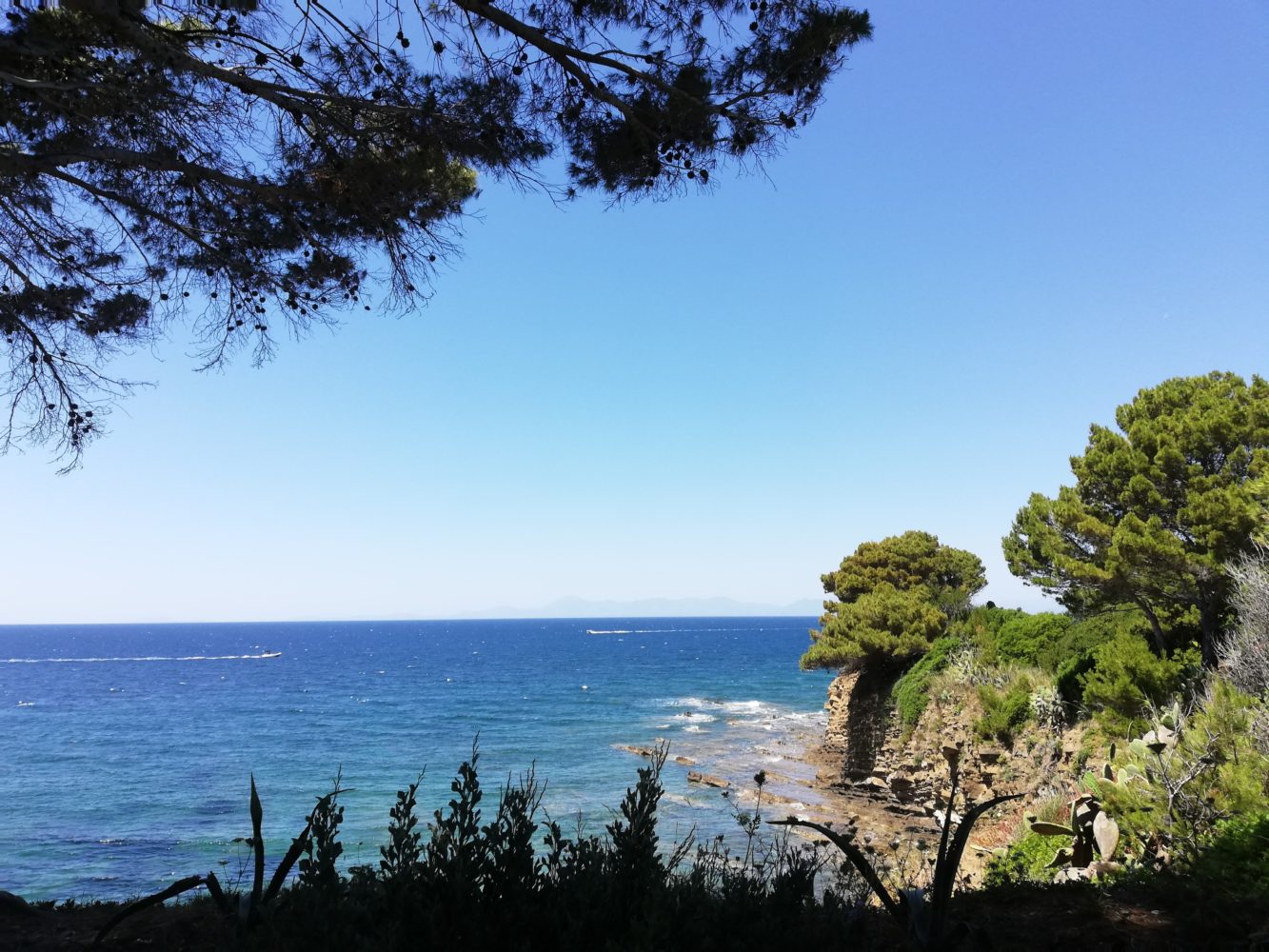 il sentiero di punta licosa da san marco di castellabate verso la serena leucosia, il cilentano cilento.jpg