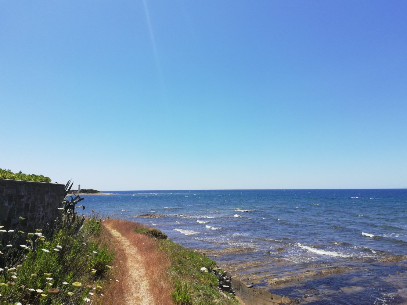 il sentiero di punta licosa da san marco di castellabate verso l'isola della sirena leucosia, il cilentano cilento.jpg