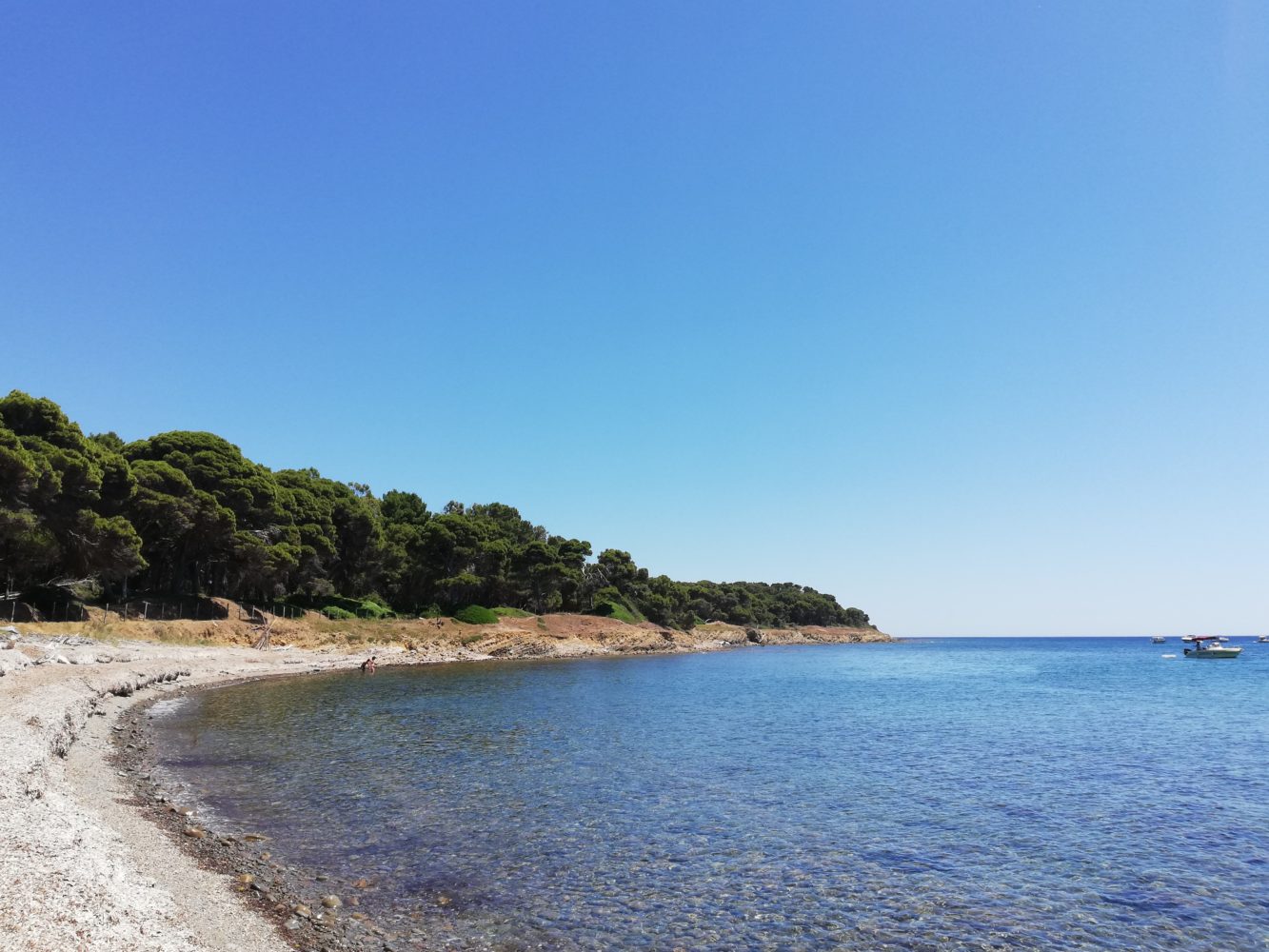 la spiaggia di punta licosa, il mare e il sentiero di punta licosa da san marco di castellabate verso l'isola della sirena leucosia, il cilentano cilento.jpg