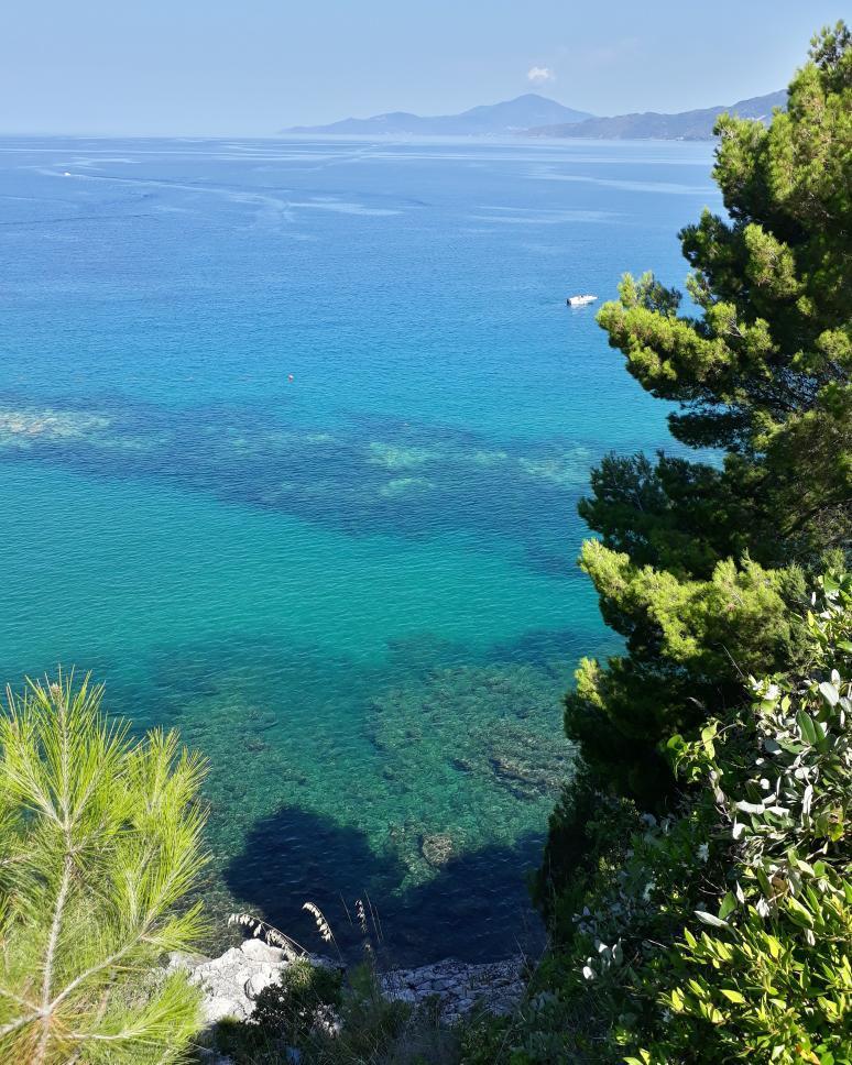 spiaggia del porto di palinuro il cilentano cilento (3)