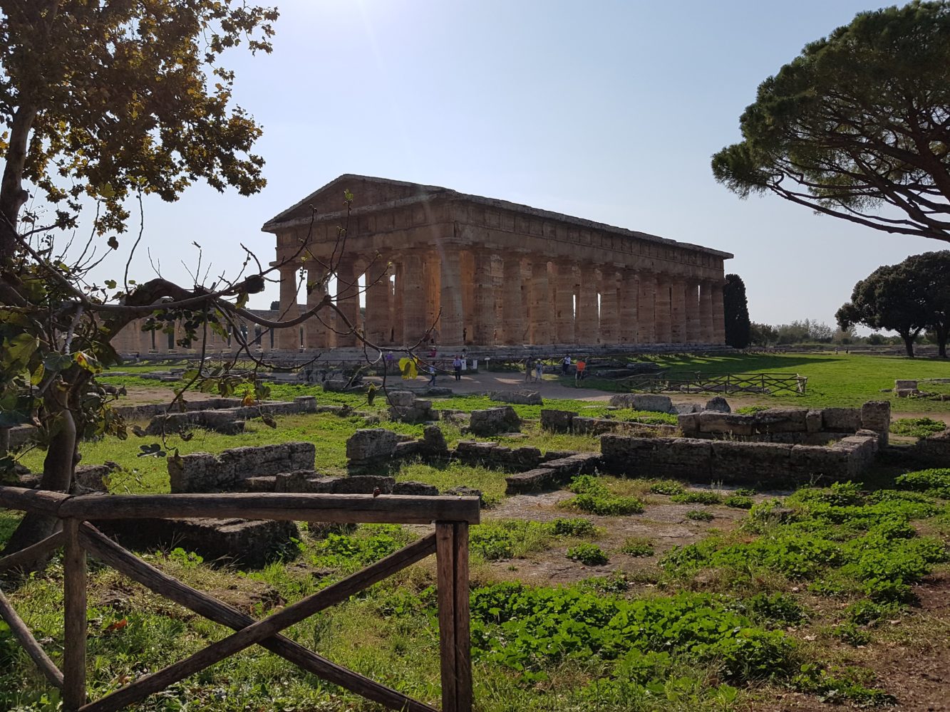 Tempioi di Era Basilica Scavi di Paestum, parco archeologico di paestum experience (5)