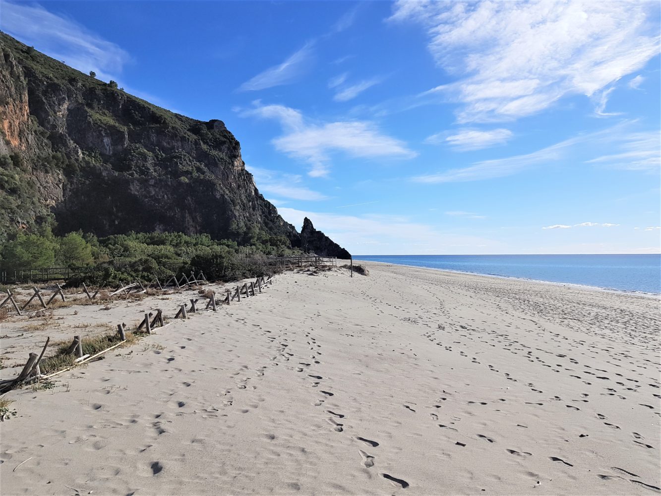 le dune della spiaggia del mingardo (1)