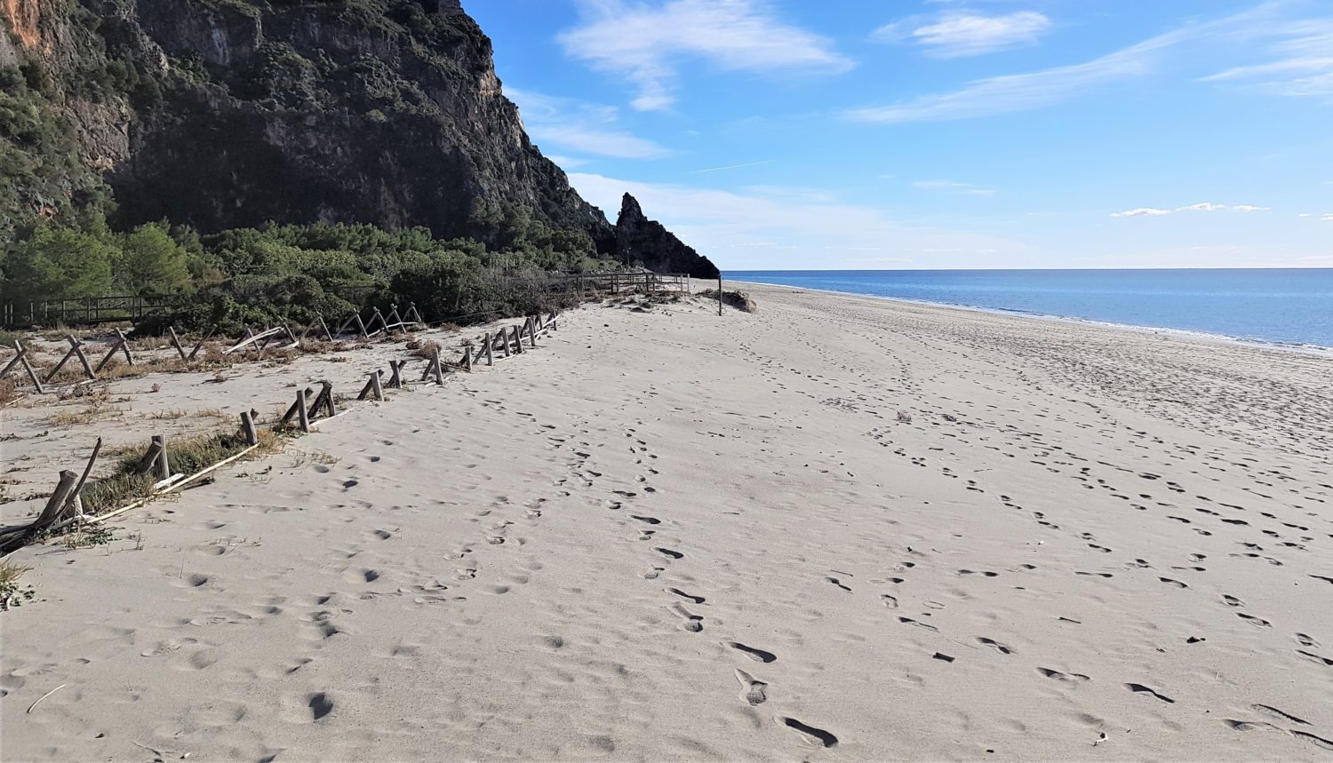 le dune della spiaggia del mingardo (1)