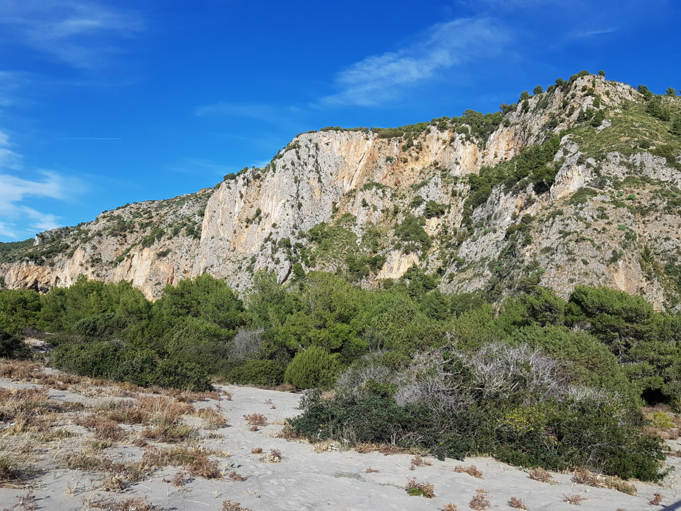 le dune della spiaggia del mingardo (3)