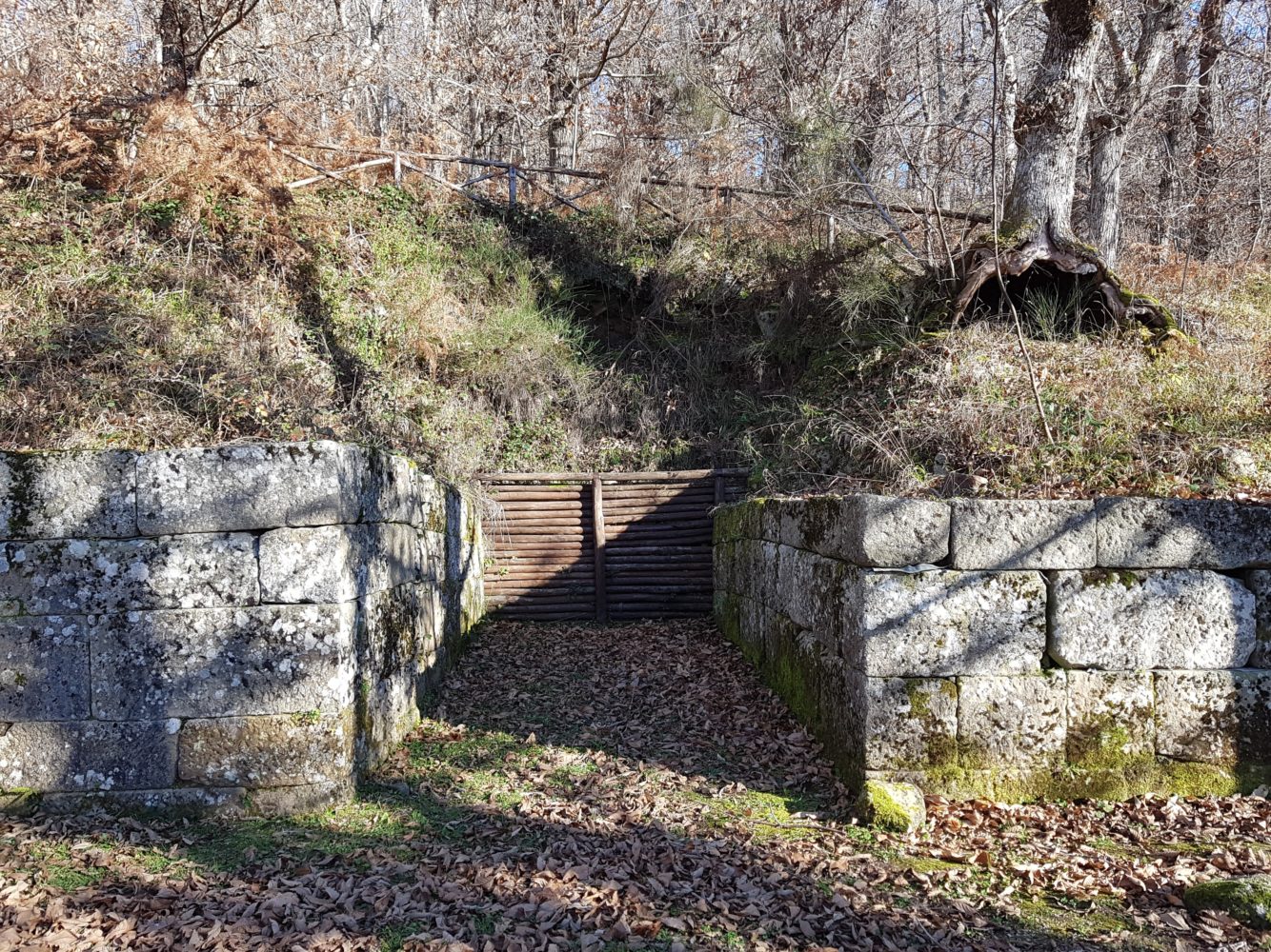 parco archeologico della civitella scavi porta nord