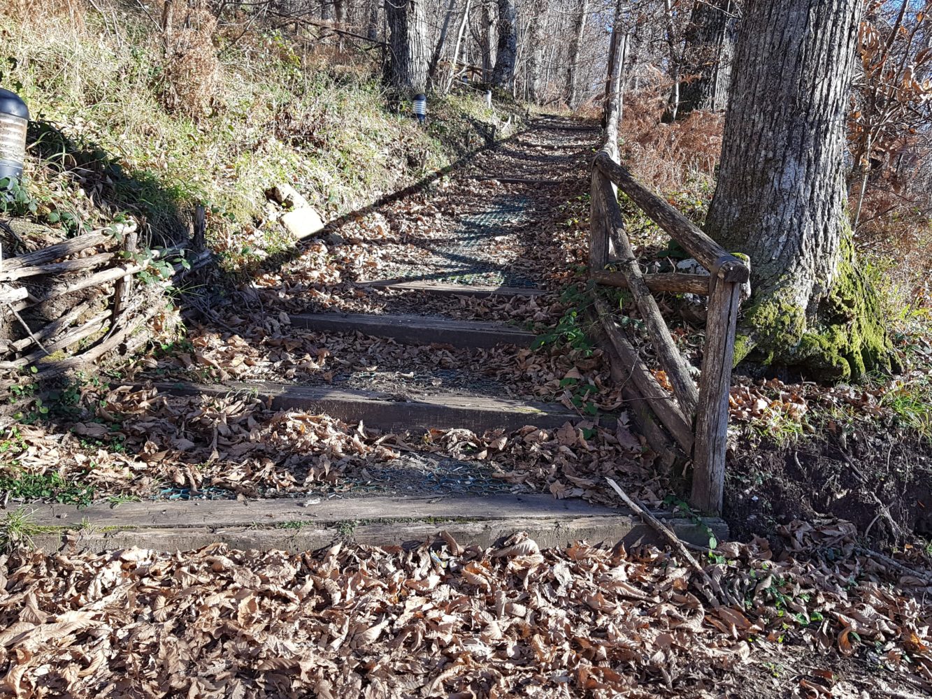 sentiero parco archeologico della civitella