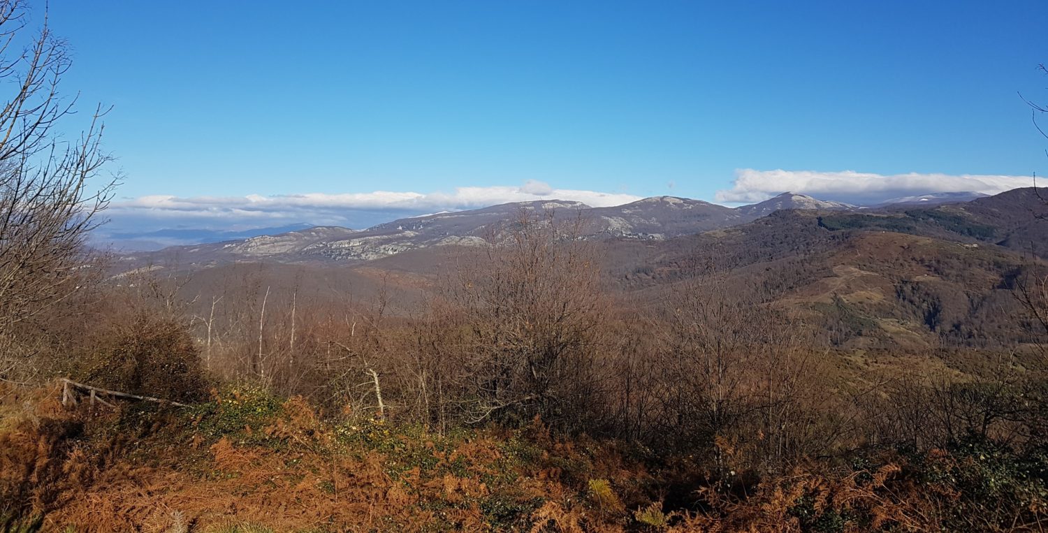 vista dal parco archeologico della civitella 3