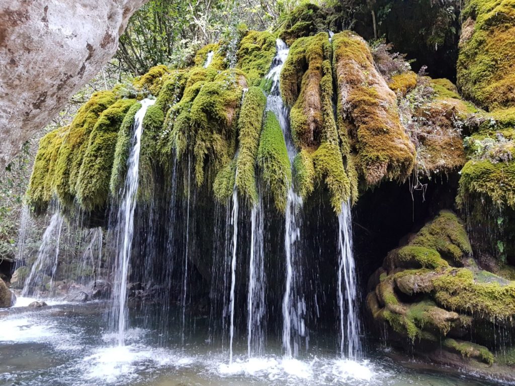 cascata capelli di venere