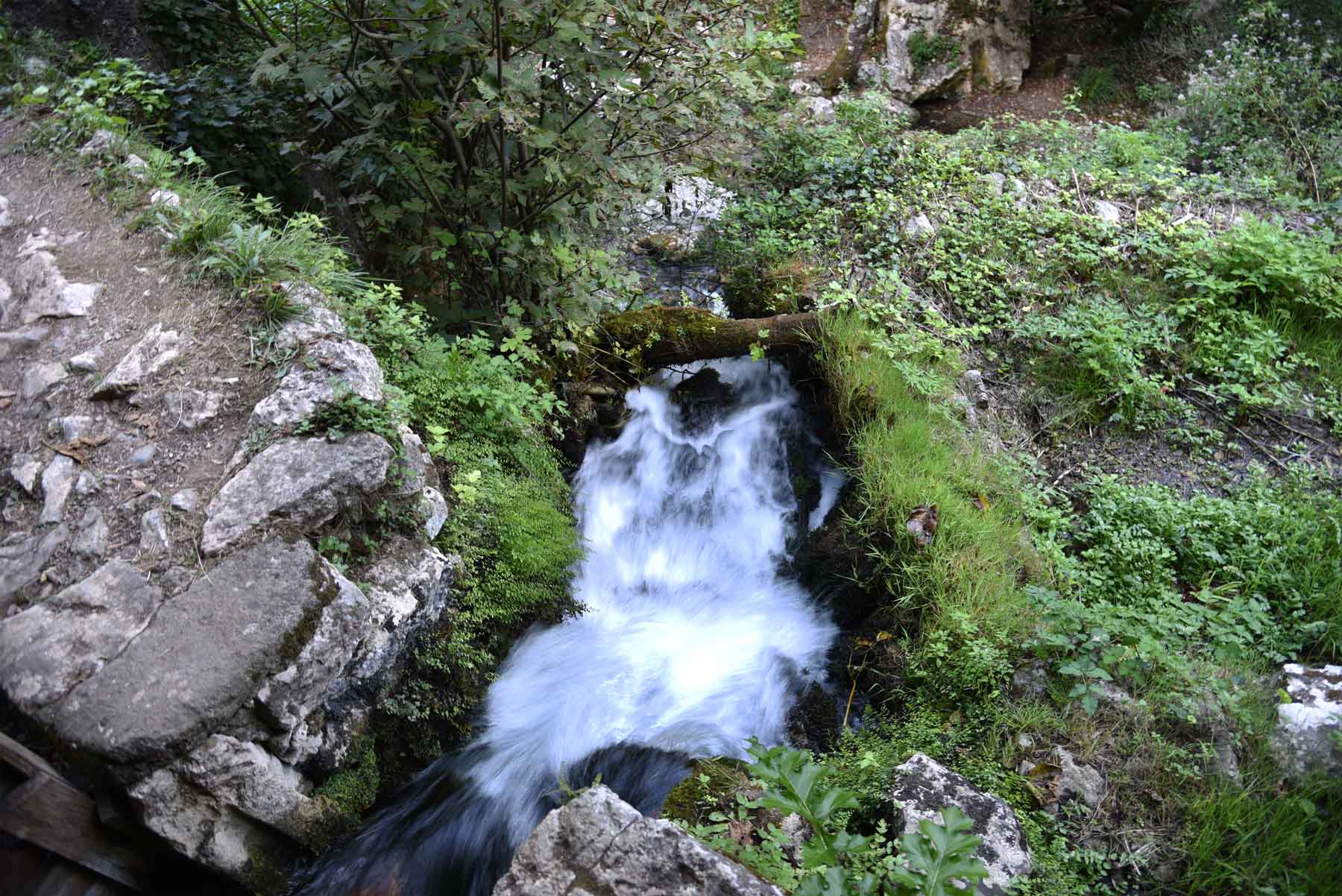 grotte-del-bussento-mulino-di-morigerati-oasi-wwf